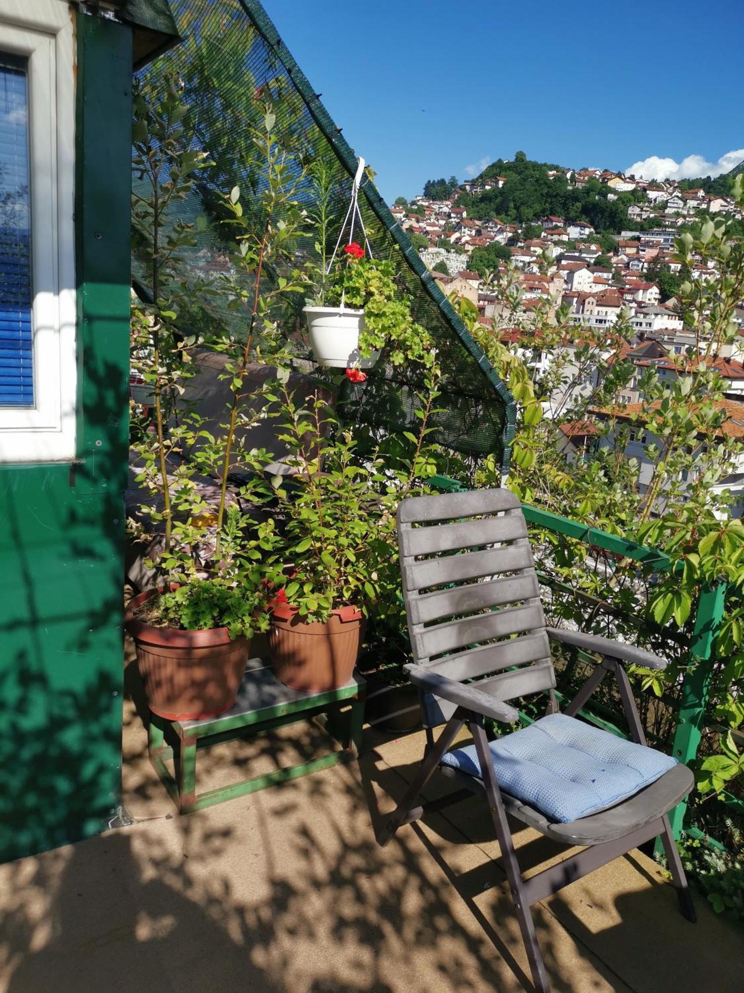 Emily * Sarajevo